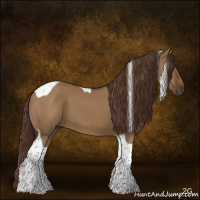Horse Color:Gray Red Dun Tobiano 