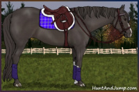 Horse Color:Smoky Black 