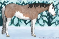 Horse Color:Bay Roan Splash 