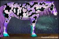 Horse Color:Watercolor Liver Red Onyx Roan Appaloosa