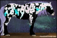 Horse Color:Watercolor Bay Roan Onyx Splash Appaloosa 