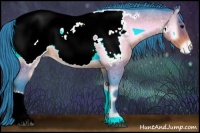 Horse Color:Watercolor Brown Roan Onyx Appaloosa