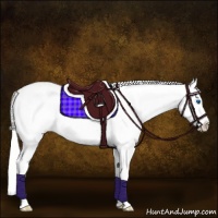Horse Color:Silver Perlino Dun Sabino Splash Rabicano 