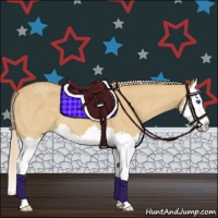 Horse Color:Palomino Roan Dun Splash 