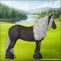 Horse Color:Liver Chestnut Mushroom 