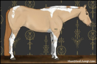 Horse Color:Red Dun Tobiano 