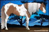 Horse Color:Chestnut Splash Tobiano 