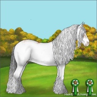Horse Color:Bay Sabino 