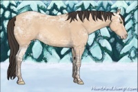 Horse Color:Amber Champagne Ice 