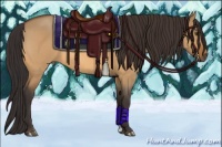 Horse Color:Buckskin Roan Dun Rabicano 