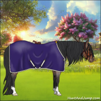 Horse Color:Bay Roan Blanket Rabicano 