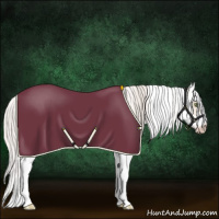 Horse Color:White Spotted Silver Amber Champagne Dun Splash Frame 