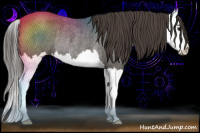Horse Color:Smoky Blue Roan Splash Rabicano 