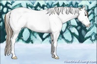 Horse Color:Buckskin Roan Splash Tobiano Appaloosa 