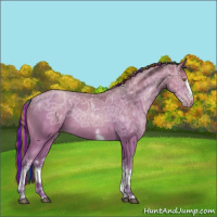 Horse Color:Painted White Spotted Bay Ice Pearl Rabicano 