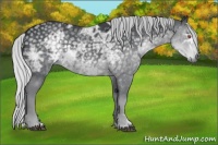 Horse Color:Silver Black Chinchilla Ice Rabicano 