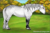 Horse Color:Silver Brown Chinchilla Ice Rabicano 