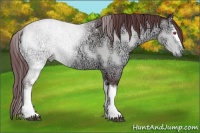 Horse Color:White Spotted Chocolate Brown Chinchilla Ice Onyx Sabino 