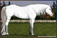 Horse Color:Smoky Black Ice Splash Tobiano Appaloosa