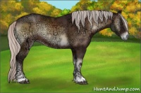 Horse Color:Silver Brown Ice Onyx Rabicano