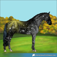 Horse Color:ERROR: UNKNOWN ANOMALY