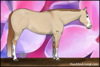 Horse Color:Red Dun Splash 