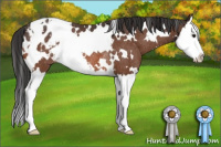 Horse Color:White Spotted Brown Splash Appaloosa Rabicano