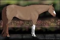 Horse Color:Liver Red Dun 