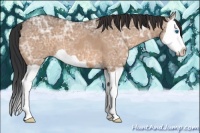 Horse Color:Brown Ice Dun Splash 