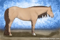 Horse Color:Amber Champagne 