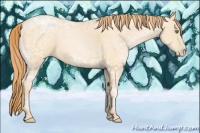 Horse Color:Smoky Black Ice Pearl