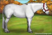 Horse Color:Gray Black 