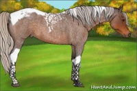 Horse Color:Silver Buckskin Roan Tobiano 