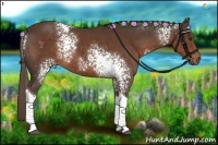 Horse Color:White Spotted Liver Chestnut Tobiano 