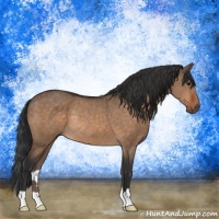 Horse Color:Bay Dun Rabicano 