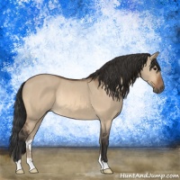 Horse Color:Bay Dun Rabicano
