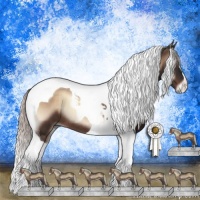Horse Color:Silver Brown Onyx Mushroom Tobiano 