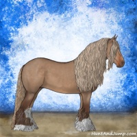 Horse Color:Liver Red Dun