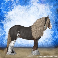 Horse Color:Liver Chestnut Sabino Rabicano