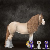 Horse Color:Buckskin Pearl Mushroom Sabino Rabicano