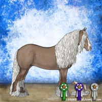 Horse Color:Liver Red Dun Mushroom Sabino 