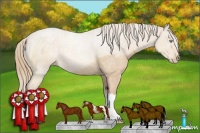 Horse Color:Perlino 