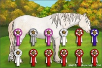 Horse Color:Perlino Appaloosa