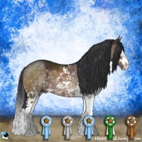 Horse Color:Brown Dun Mushroom Sabino Splash Brindle 