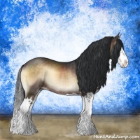 Horse Color:Brown Onyx Sabino Splash Rabicano 