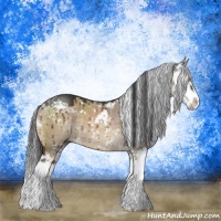 Horse Color:Brown Dun Sabino Splash Brindle 