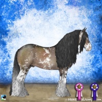 Horse Color:Brown Dun Mushroom Sabino Splash 