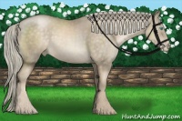 Horse Color:Chocolate Palomino Pearl Mushroom Sabino