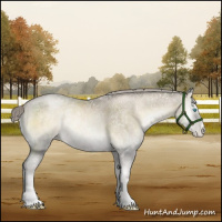 Horse Color:Chocolate Palomino Ice Pearl Onyx Mushroom Sabino Rabicano 