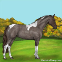 Horse Color:Liver Red Roan Tobiano 